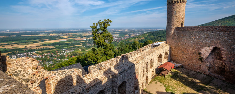 Nord-West-Turm und die Rheinebene