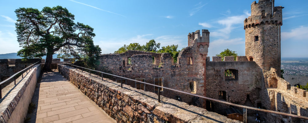 Sagenkiefer und Südturm auf Schloss Auerbach