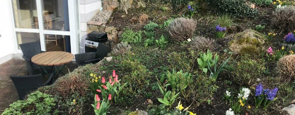 Staudenbeet direkt an der Terrasse